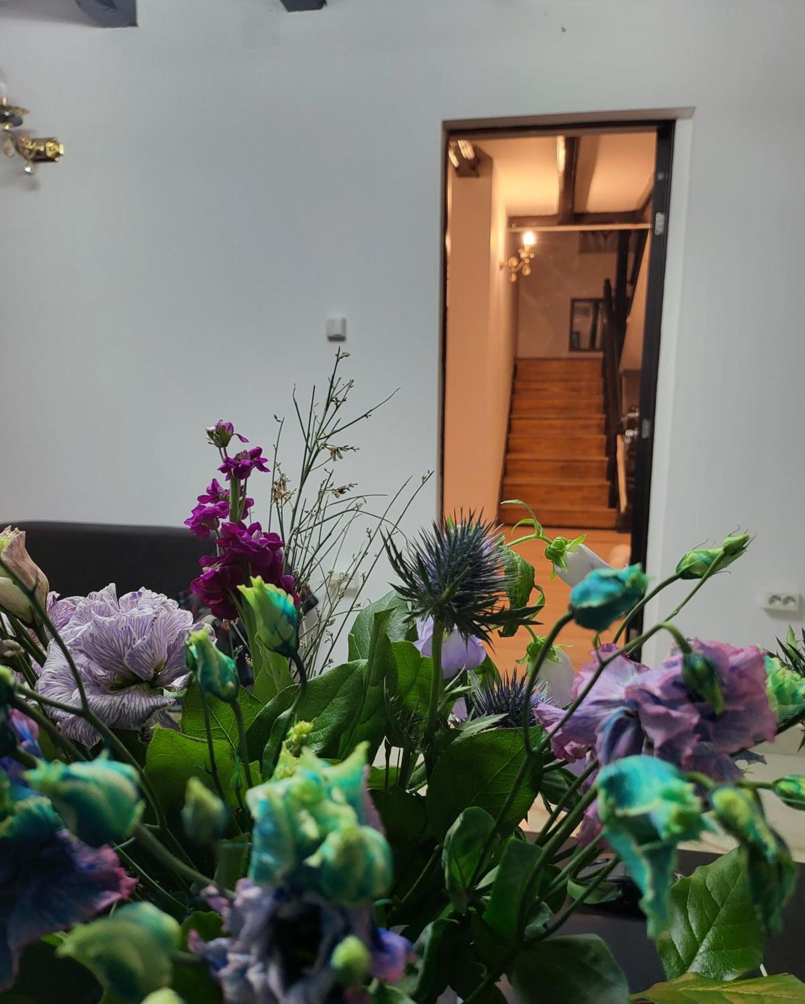 Adac Boutique Hotel Pantelimon المظهر الخارجي الصورة