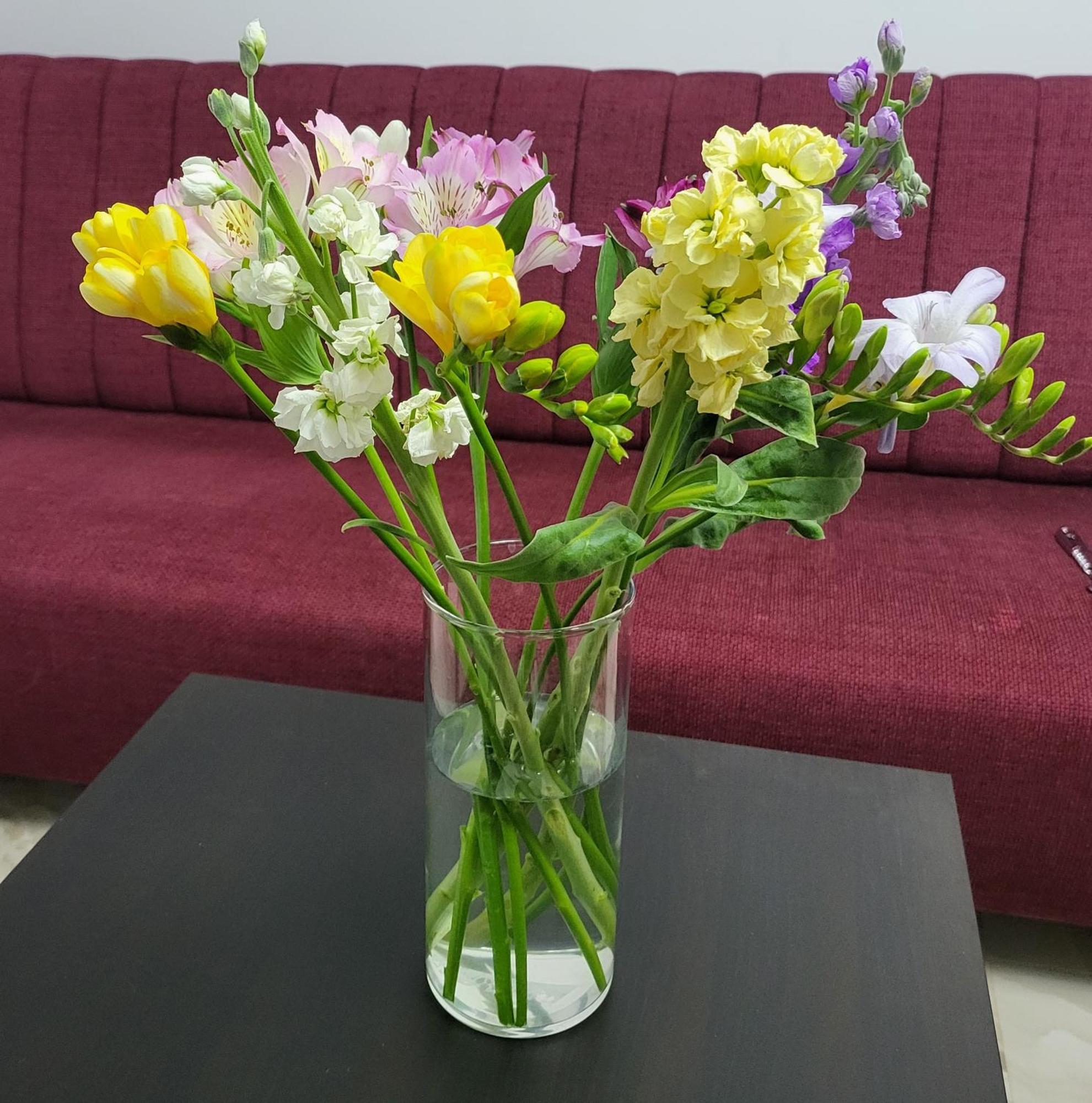 Adac Boutique Hotel Pantelimon المظهر الخارجي الصورة