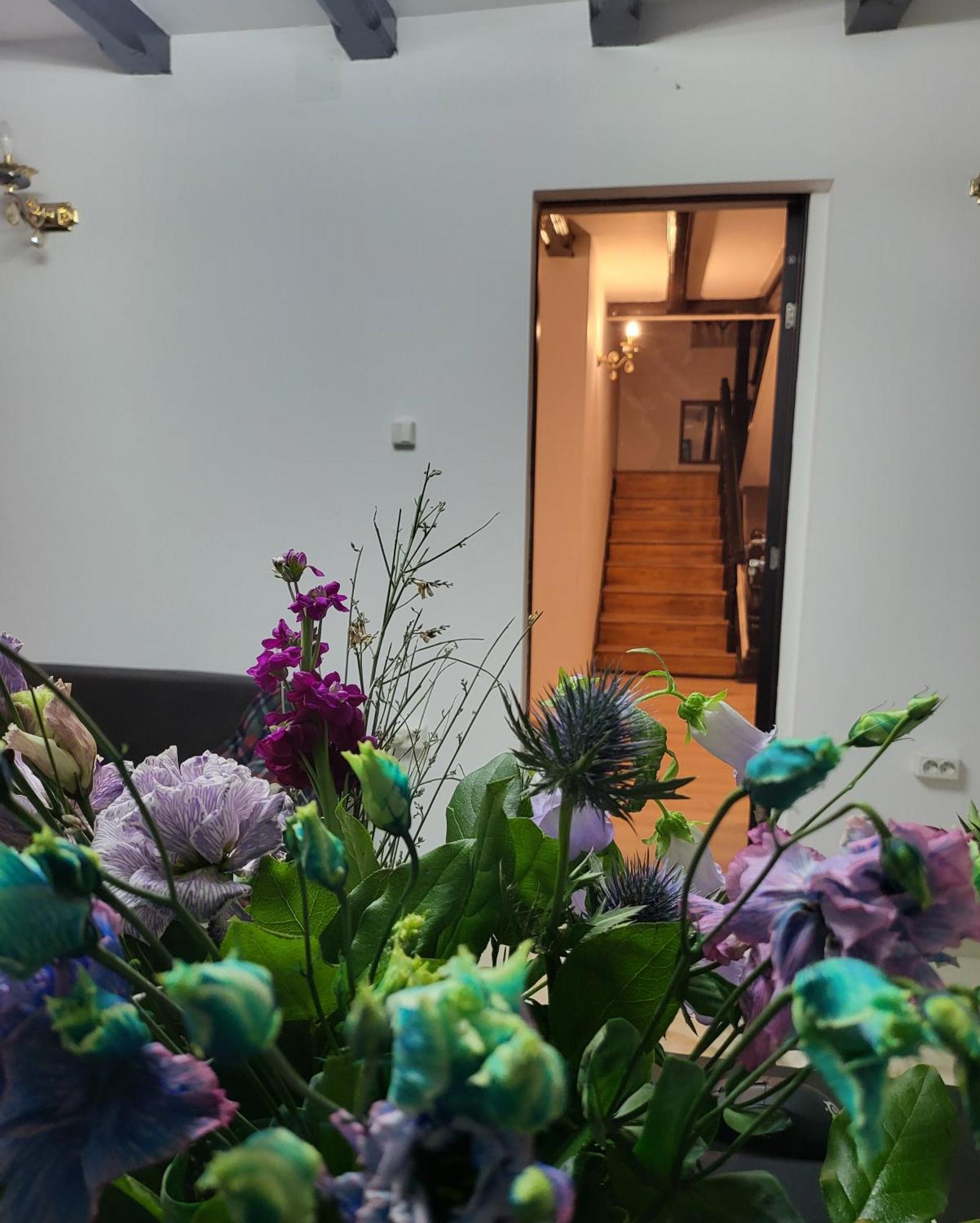 Adac Boutique Hotel Pantelimon المظهر الخارجي الصورة